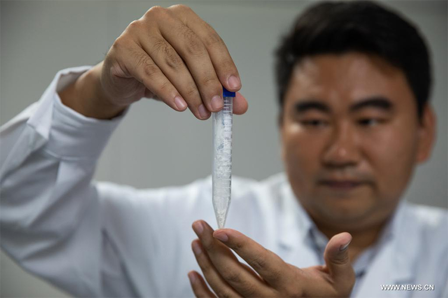 علماء صينيون يصنعون النشاء من ثاني أكسيد الكربون للمرة الأولى