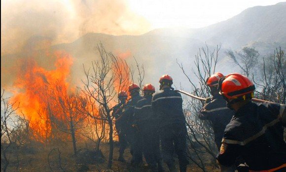 الحرائق تتلف 1888 هكتارا خلال أسبوع في الجزائر