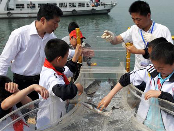 الصين تطلق سمك الحفش المهدد بالانقراض الى نهر اليانغتسي